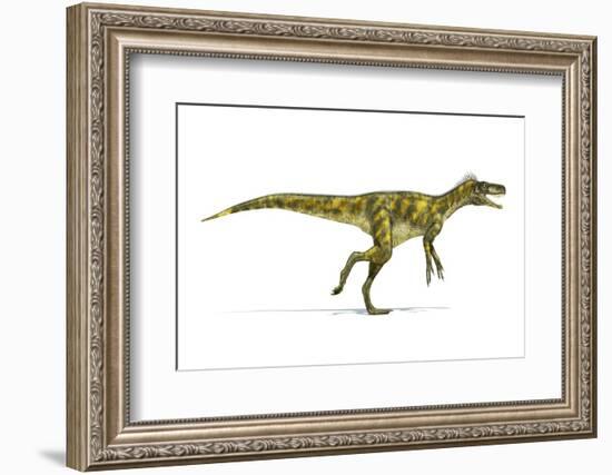 Herrerasaurus Dinosaur, Artwork-null-Framed Photographic Print