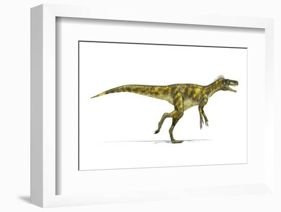 Herrerasaurus Dinosaur, Artwork-null-Framed Photographic Print