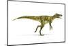 Herrerasaurus Dinosaur, Artwork-null-Mounted Photographic Print