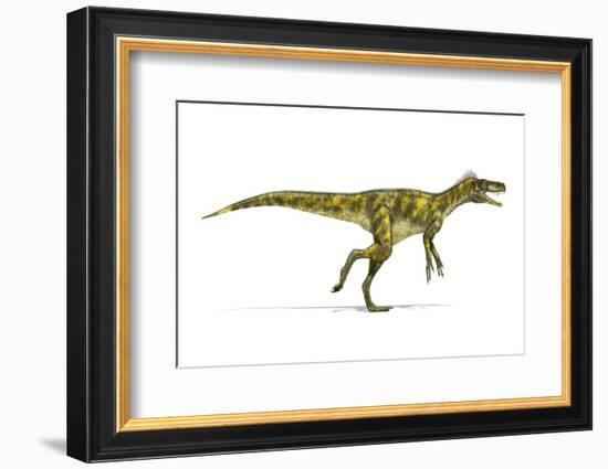 Herrerasaurus Dinosaur, Artwork-null-Framed Photographic Print