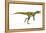 Herrerasaurus Dinosaur, Artwork-null-Framed Premier Image Canvas