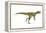 Herrerasaurus Dinosaur, Artwork-null-Framed Premier Image Canvas