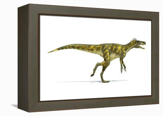 Herrerasaurus Dinosaur, Artwork-null-Framed Premier Image Canvas