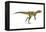 Herrerasaurus Dinosaur, Artwork-null-Framed Premier Image Canvas