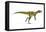 Herrerasaurus Dinosaur, Artwork-null-Framed Premier Image Canvas