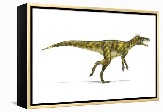 Herrerasaurus Dinosaur, Artwork-null-Framed Premier Image Canvas