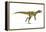 Herrerasaurus Dinosaur, Artwork-null-Framed Premier Image Canvas