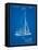 Herreshoff R 40' Gamecock Racing Sailboat Patent-Cole Borders-Framed Stretched Canvas