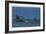 Herring Drifters in the North Sea-Charles Pears-Framed Giclee Print