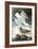 Herring Gull & Black Duck-John James Audubon-Framed Art Print