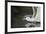 Herring Gull (Larus Argentatus) Landing on Water, Flatanger, Nord Tr?ndelag, Norway, August 2008-Widstrand-Framed Photographic Print