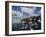 Herring Gulls, Following Fishing Boat with Bass Rock Behind, Firth of Forth, Scotland, UK-Toon Ann & Steve-Framed Photographic Print