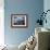 Herring Gulls, Following Fishing Boat with Bass Rock Behind, Firth of Forth, Scotland, UK-Toon Ann & Steve-Framed Photographic Print displayed on a wall