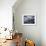 Herring Gulls, Following Fishing Boat with Bass Rock Behind, Firth of Forth, Scotland, UK-Toon Ann & Steve-Framed Photographic Print displayed on a wall