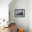 Herring Gulls, Following Fishing Boat with Bass Rock Behind, Firth of Forth, Scotland, UK-Toon Ann & Steve-Framed Photographic Print displayed on a wall