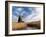 Herringfleet Drainage Mill, Suffolk, UK-Nadia Isakova-Framed Photographic Print