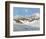 Herzogenhorn near Bernau-Eugen Bracht-Framed Art Print