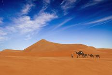 Desert Life-Hesham Alhumaid-Premier Image Canvas