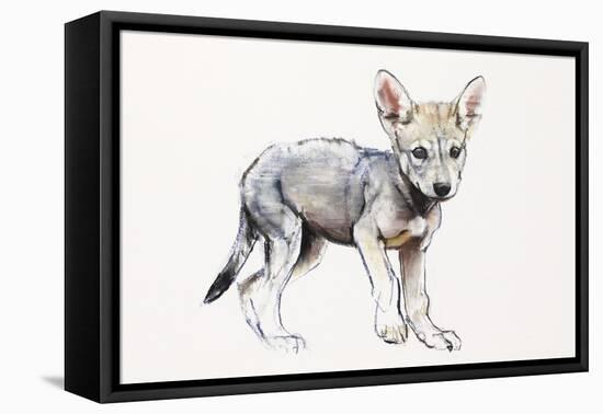 Hesitating Arabian Wolf Pup, 2009-Mark Adlington-Framed Premier Image Canvas