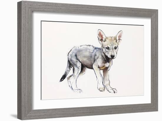 Hesitating Arabian Wolf Pup, 2009-Mark Adlington-Framed Giclee Print