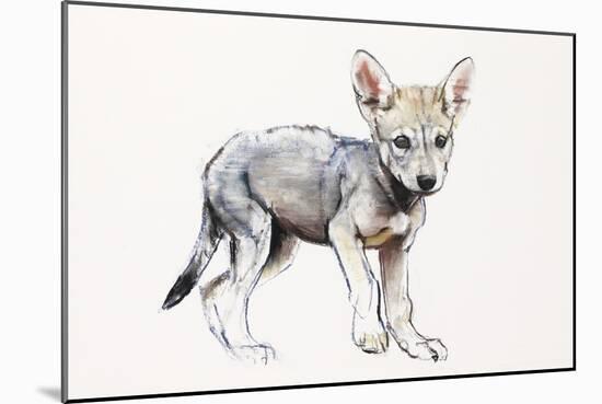 Hesitating Arabian Wolf Pup, 2009-Mark Adlington-Mounted Giclee Print