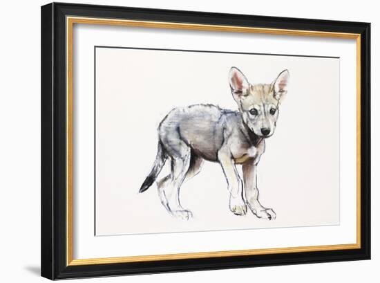 Hesitating Arabian Wolf Pup, 2009-Mark Adlington-Framed Giclee Print