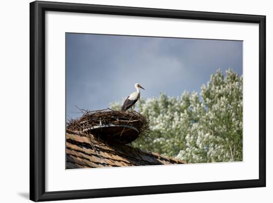 Hesitation-Philippe Sainte-Laudy-Framed Photographic Print