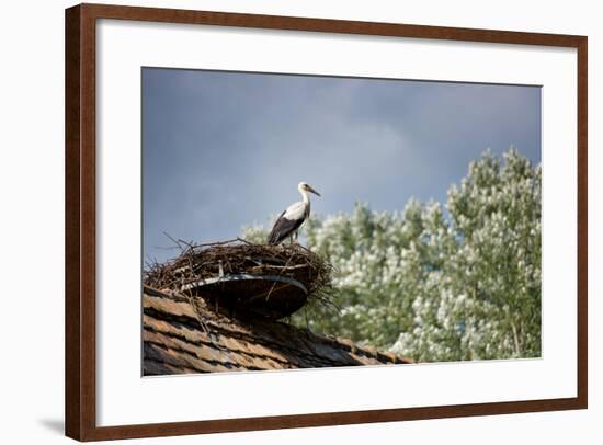 Hesitation-Philippe Sainte-Laudy-Framed Photographic Print