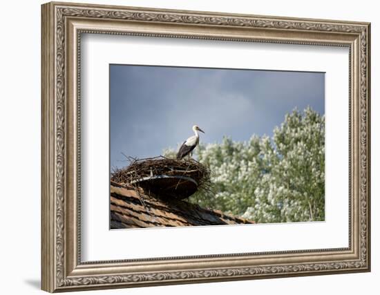 Hesitation-Philippe Sainte-Laudy-Framed Photographic Print