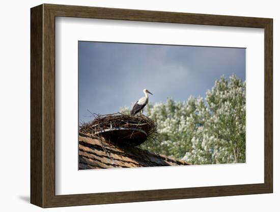 Hesitation-Philippe Sainte-Laudy-Framed Photographic Print