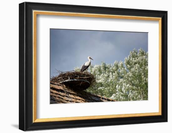 Hesitation-Philippe Sainte-Laudy-Framed Photographic Print