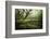 Hetre De La Marre-Philippe Manguin-Framed Photographic Print