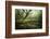 Hetre De La Marre-Philippe Manguin-Framed Photographic Print