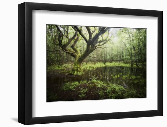 Hetre De La Marre-Philippe Manguin-Framed Photographic Print