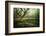 Hetre De La Marre-Philippe Manguin-Framed Photographic Print