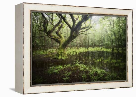 Hetre De La Marre-Philippe Manguin-Framed Premier Image Canvas