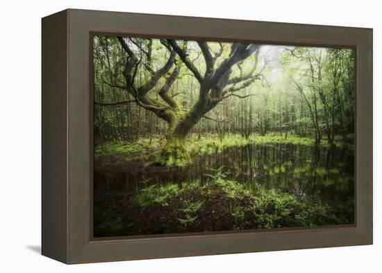 Hetre De La Marre-Philippe Manguin-Framed Premier Image Canvas