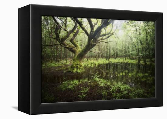 Hetre De La Marre-Philippe Manguin-Framed Premier Image Canvas