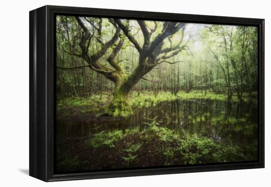 Hetre De La Marre-Philippe Manguin-Framed Premier Image Canvas