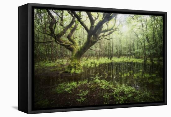 Hetre De La Marre-Philippe Manguin-Framed Premier Image Canvas