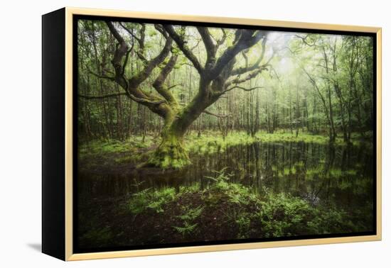 Hetre De La Marre-Philippe Manguin-Framed Premier Image Canvas