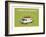 Heula. Camping-car normand-Sylvain Bichicchi-Framed Art Print