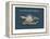 Heula. Mon Saint-Michel photocopieur-Sylvain Bichicchi-Framed Stretched Canvas