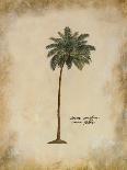 Plantain Palm-Hewitt-Giclee Print