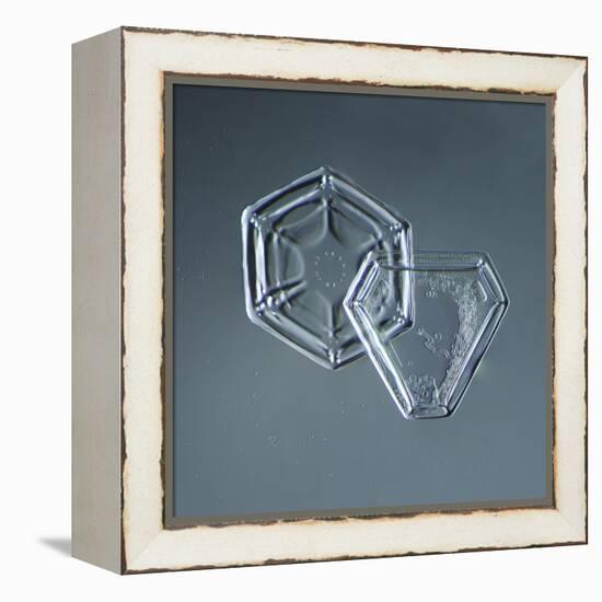 Hexagonal and Triangular Plate Snowflakes-null-Framed Premier Image Canvas