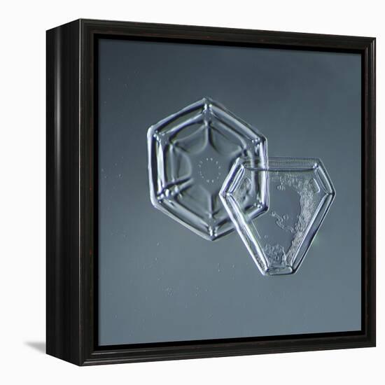Hexagonal and Triangular Plate Snowflakes-null-Framed Premier Image Canvas