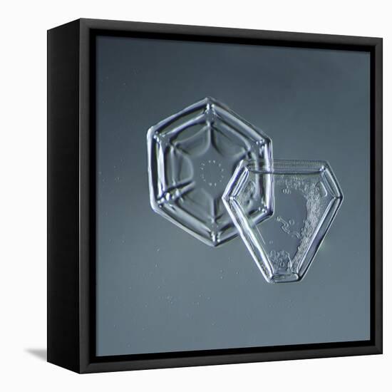 Hexagonal and Triangular Plate Snowflakes-null-Framed Premier Image Canvas