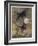 Hey Diddle Diddle-Arthur Rackham-Framed Art Print