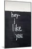 Hey I Like You-Kent Youngstrom-Mounted Art Print