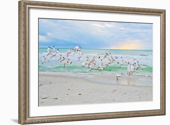 Hey! Wait for Me!-Mary Lou Johnson-Framed Art Print